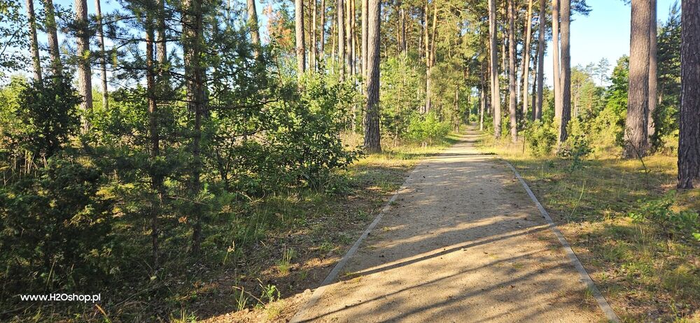 BOŻE CIAŁO W BORACH TUCHOLSKICH